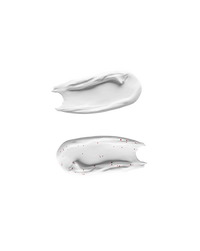 Pure Plump Duo set